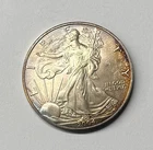 2004 Walking Liberty American Eagle 1 oz Fine .999 Silver Dollar Great Toning!