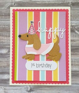 happy first birthday dog