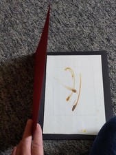 Sandra Blow: HB Book with Original Artwork stamped by Sandra Blow Estate - RARE