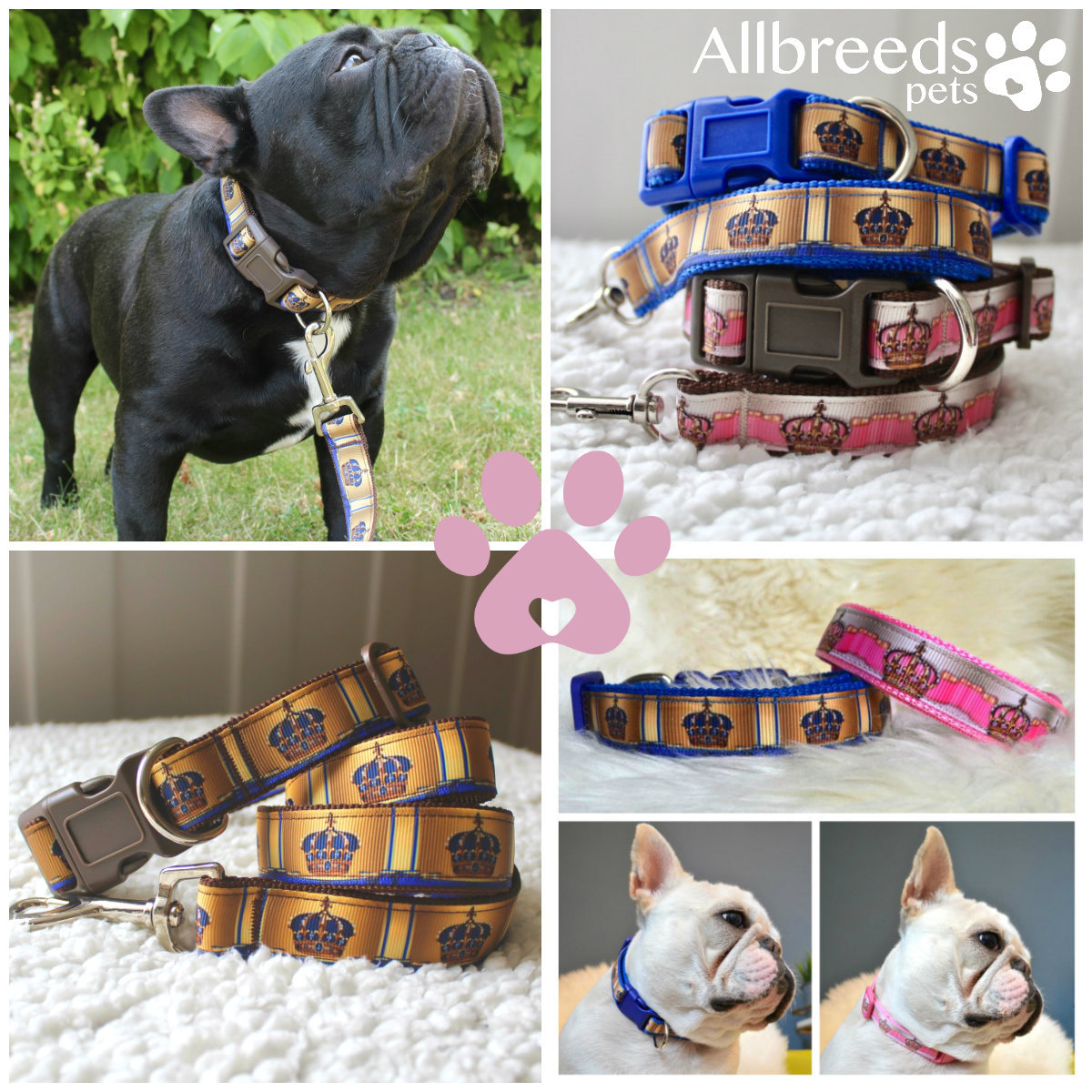 Allbreeds Crown Dog Collar and Lead Set French Bulldog Puppy