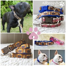 Set collare e piombo corona cane di tutte le razze bulldog francese cucciolo collare francese XS