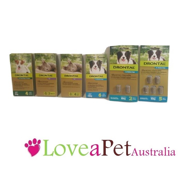 Drontal Allwormer for All Size Dogs & Cats Dog Cat Worming Wormer Dog