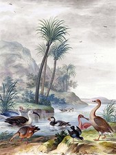 EXOTIC WATERBIRDS IN A LANDSCAPE Tile Mural Bathroom Wall Backsplash Ceramic 6x8