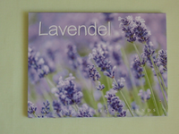 1X Postkartenbuch Lavendel 15 Verschiedene Motive Postkarten Blumen