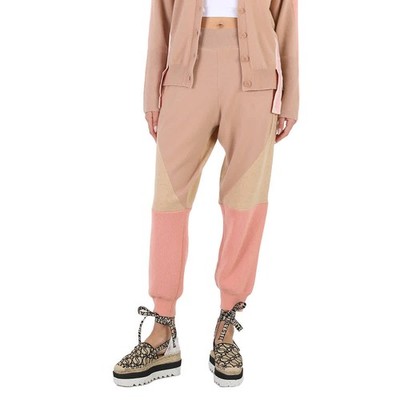 Stella Mccartney Ladies Colorblock Tonal Mix Panelled Wool Track Pants, Brand