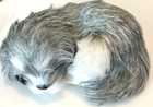 Adorable Sleeping Grey /White Kitty Cat on a Fluffy Soft Grey Pillow — photo 2