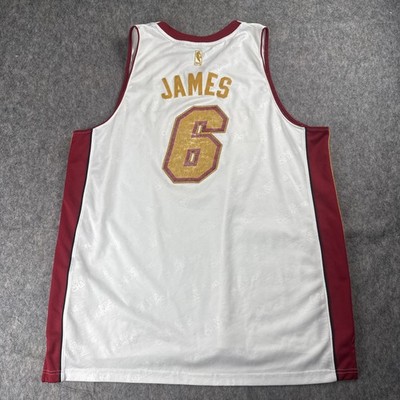 Rare Adidas Lebron James Miami Heat 2013 NBA Finals Championship