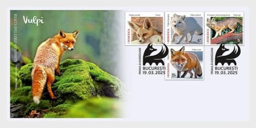 romania 2025 wild animals FOX foxes Fennec Arctic fox Grey fox Urocyon 1ENV4 FDC