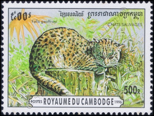 Gatti piccoli (MNH) - Foto 5 di 7