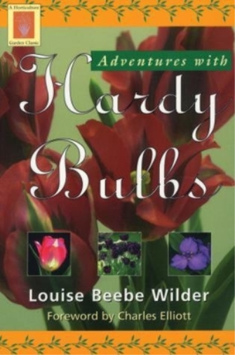 Louise Beebe Wilder Adventures with Hardy Bulbs (Tascabile)