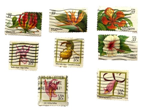 US 5664 Butterfly Garden Flowers Nonprofit #on# PNC1 B2222 5d back