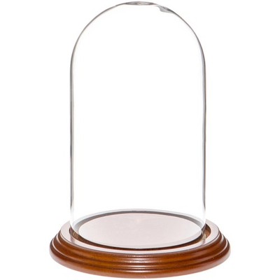 Plymor 4'' x 7'' Glass Display Dome Cloche (Walnut Veneer Base)