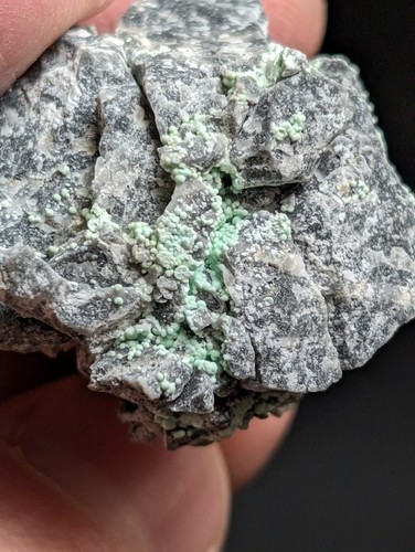Blauer Planerit, Mauldin Mountain, Montgomery Co. Arkansas, USA (Top Ästhetik) - Bild 8 von 13