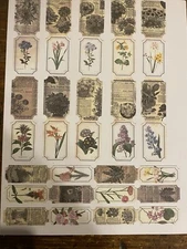 TICKETS Ephemera 32 pieces a variety of flowers, for junk Journal￼￼￼￼