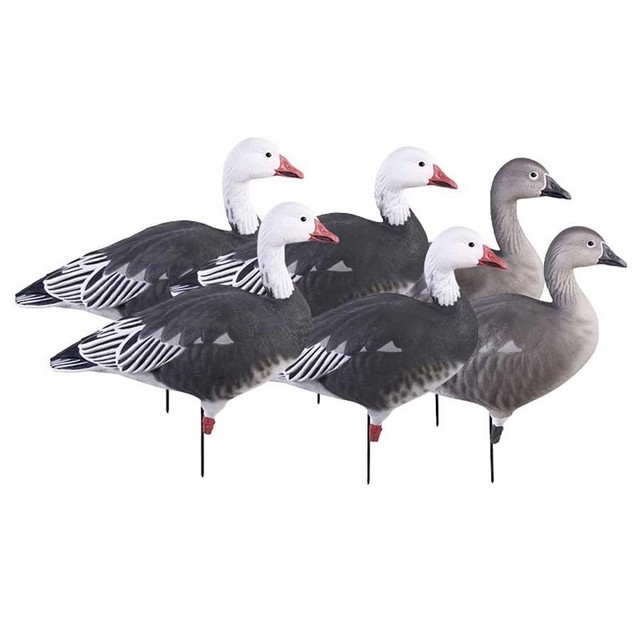 BLUE GOOSE DECOYS Fullbody ACTIVE 6 pk (71197) GREENHEAD GEAR GHG SNOW