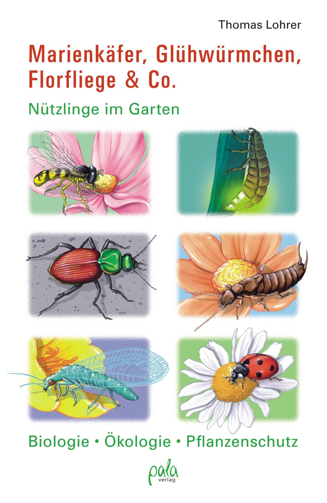 Thumbnail - Marienkäfer, Glühwürmchen, Florfliege & Co. | Thomas Lohrer | Buch |