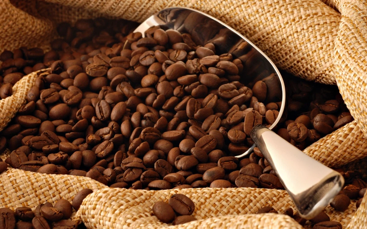 5lbs Organic Colombian Sierra Nevada Magdalena RFA SMBC Green Raw Coffee Beans