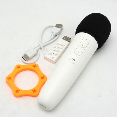 Car Type-C Karaoke Wireless Microphone With Receiver For HUAWEI BYD Dolphin DMI