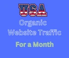 40,000 Organic USA Website Visitors per month