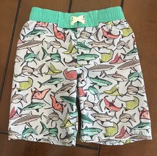 HAWAIIAN Swim Trunks BOYS Size 6/7 Sharks  Stingrays Swimming Shorts Cat  Jack