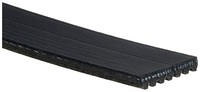 Gates Keilrippenriemen Schwarz (7PK1020) FüR Isuzu D-Max I Ii | Poly-V-Riemen