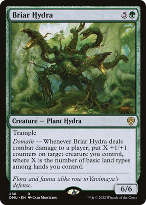 MTG - Briar Hydra - Dominaria United - NM - EN - NonFoil