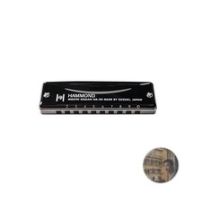 Hammond HA-20 10-Hole Harmonica High-G Brass Black Coat Aluminum Body New