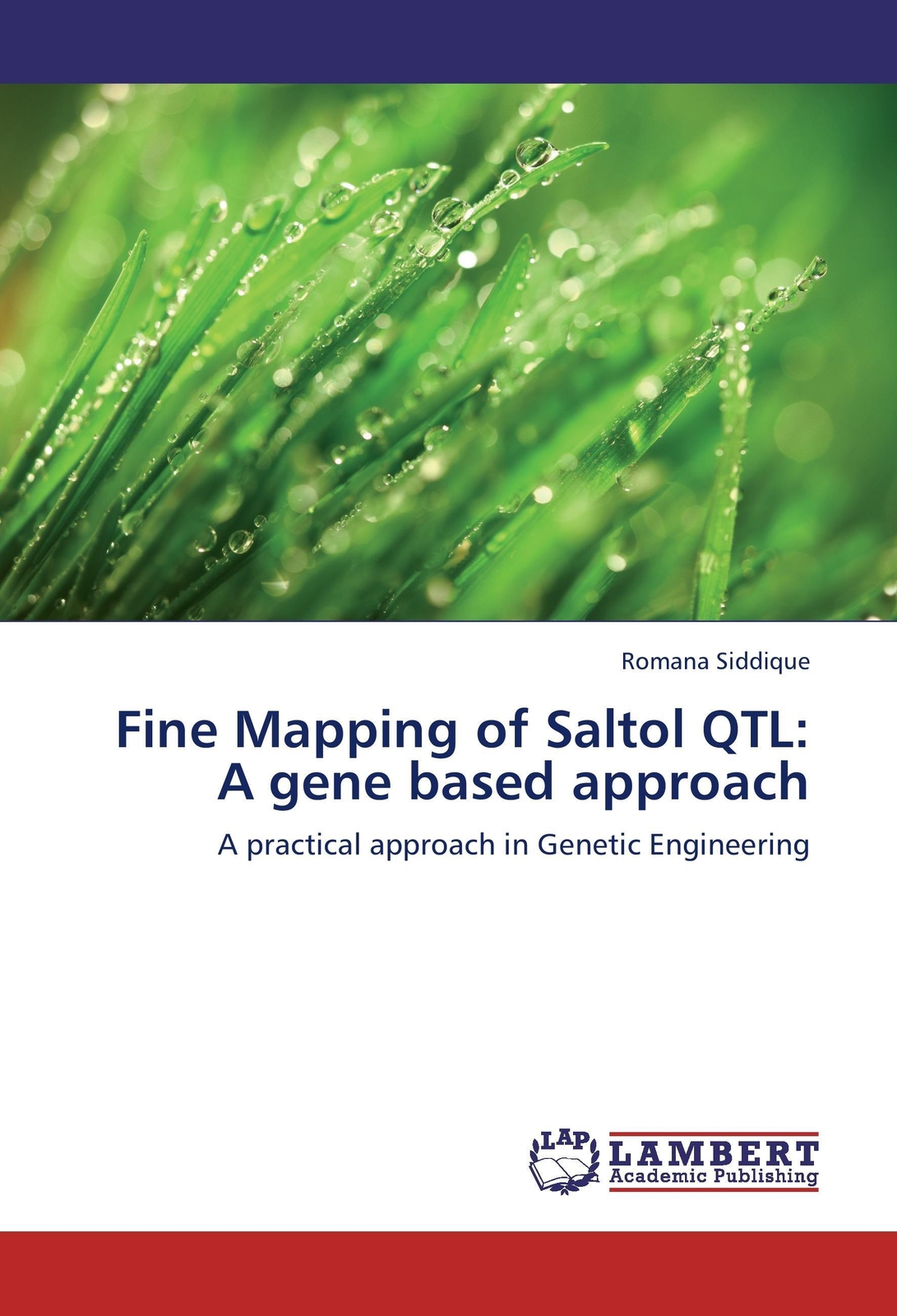 Thumbnail - Romana Siddique | Fine Mapping Of Saltol Qtl: A Gene Based Approach |