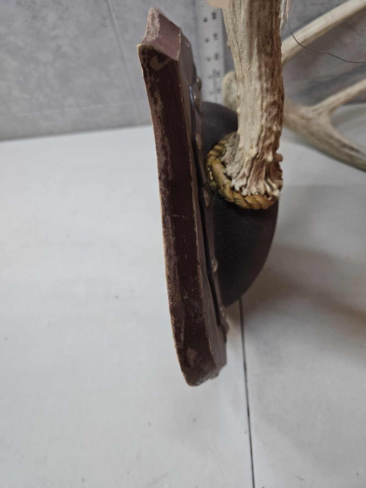 Wild 8 Point 131-2" Whitetail Deer Antler Rack Horn Skull Plate Decor Man Cave