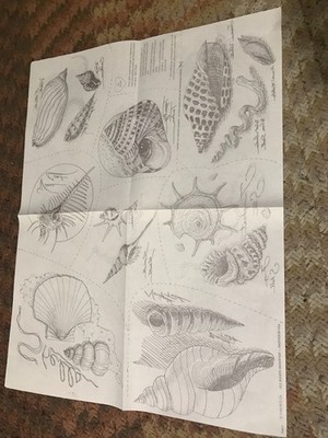 1990 FC&A PATTERN CLUB 2 uncut Sheet Lot Of Iron-On Transfer Patterns Paint