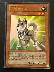 Shiba Warrior Taro | eBay