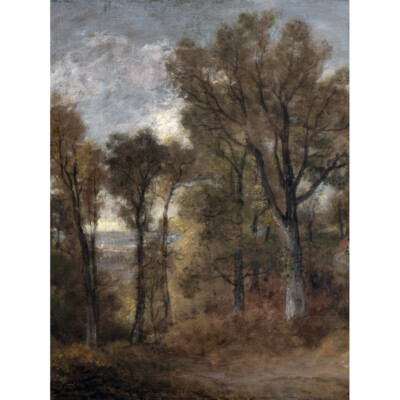 Constable Waldszene mit Blick auf Dedham Vale Gemälde Leinwand Wandkunstdruck