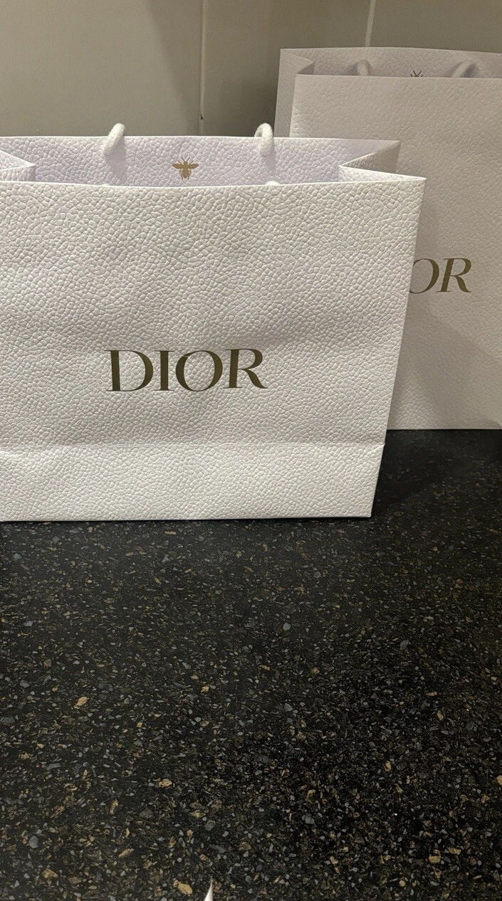 Petit sac de transport Dior