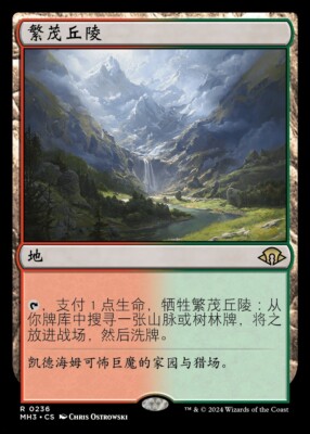 MTG 繁茂 foil 中国語 繁茂⁄Wild Growth 7ED英語foil MTG 繁茂⁄Wild