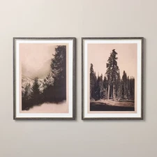 2pc 18"x24" Vertical Vintage Tree Wall Art Set - Hearth & Hand