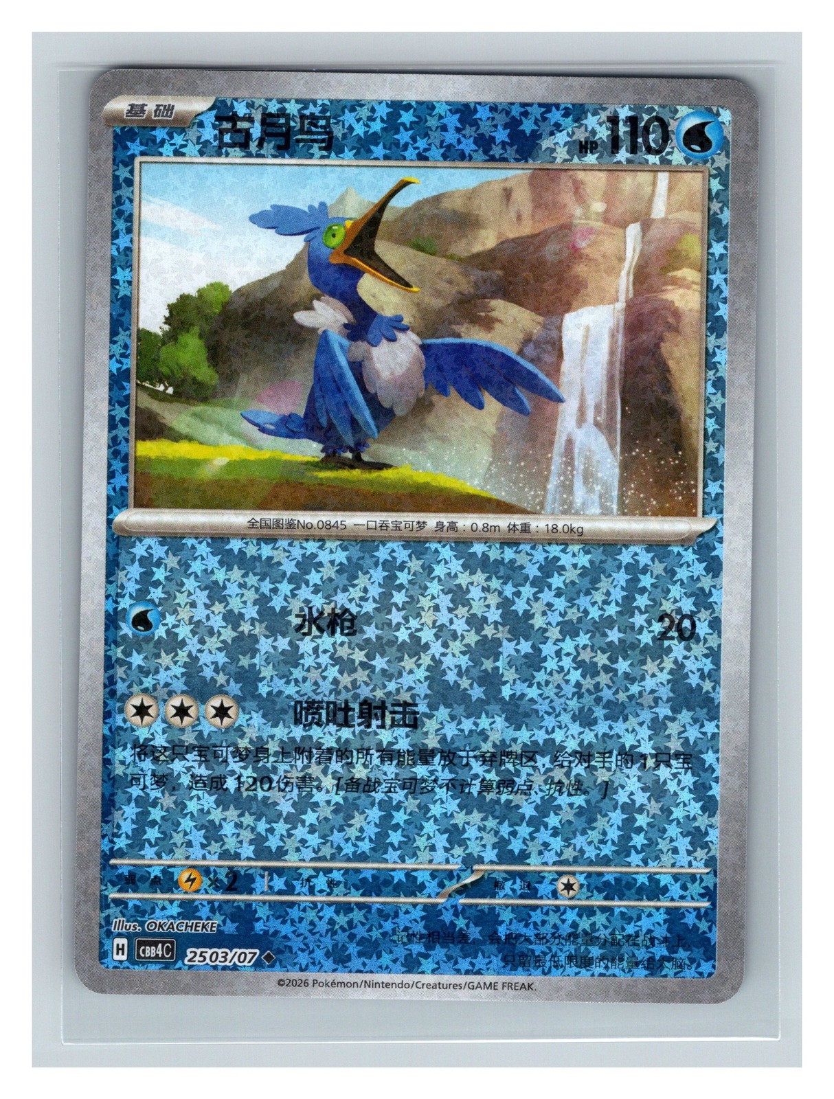 Pokemon TCG Cramorant (Chinese) 2503/07 Reverse Holo NM