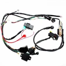 Complete Electric Start Engine Wiring Harness Loom 110 125cc Quad Bike ATV Buggy