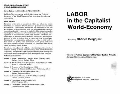 Labor in the Capitalist World-Economy Hardcover Charles Bergquist