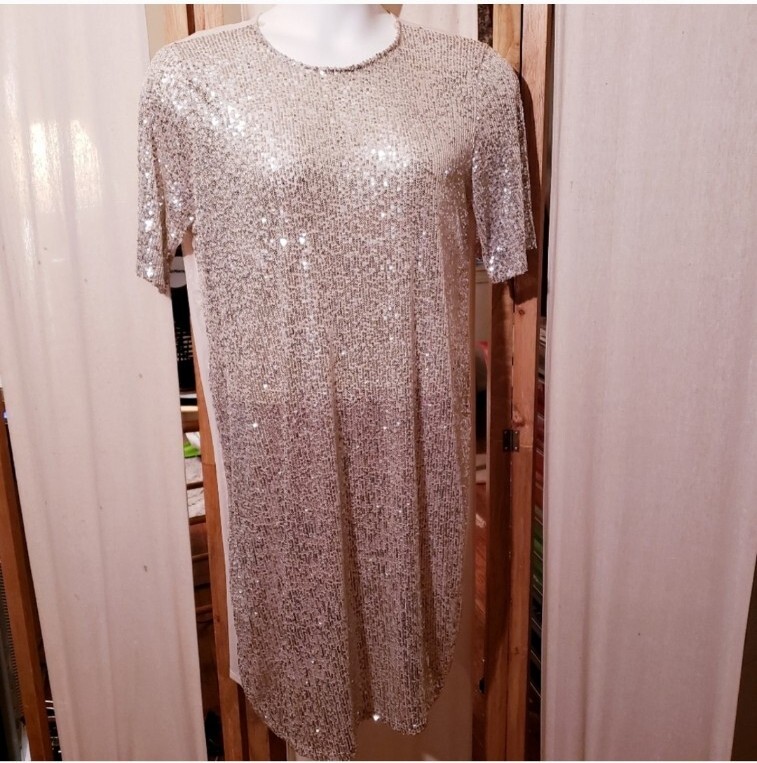 Sheer Sequin Shift Dress, Size 1X NWT | eBay