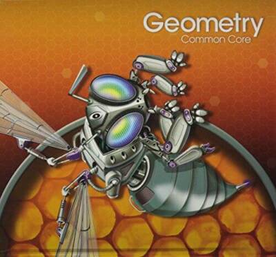 HIGH SCHOOL MATH 2015 COMMON CORE GEOMETRY STUDENT EDITION GRADE 9/10 - GOOD