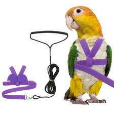 Bird Harness Leash Pet Parrot Bird Harness and Leash with Cute Wing Purple, S