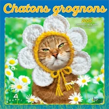 Avanti Chatons Grognons OFFICIEL | 2026 7x14" (Hanging) Mini Wall Calendar