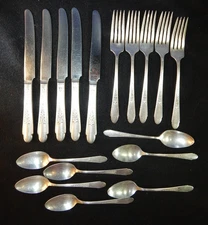 Wm Rogers Son Silverplate Flatware Gardenia Vintage 1940 Knives Fork Spoon 17pc