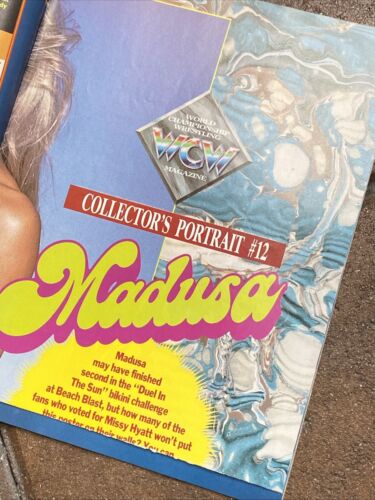 WCW Wrestling Magazin November 1992 MADUSA 2-SEITIGES POSTER - Ron Simmons Cover - Bild 6 von 19