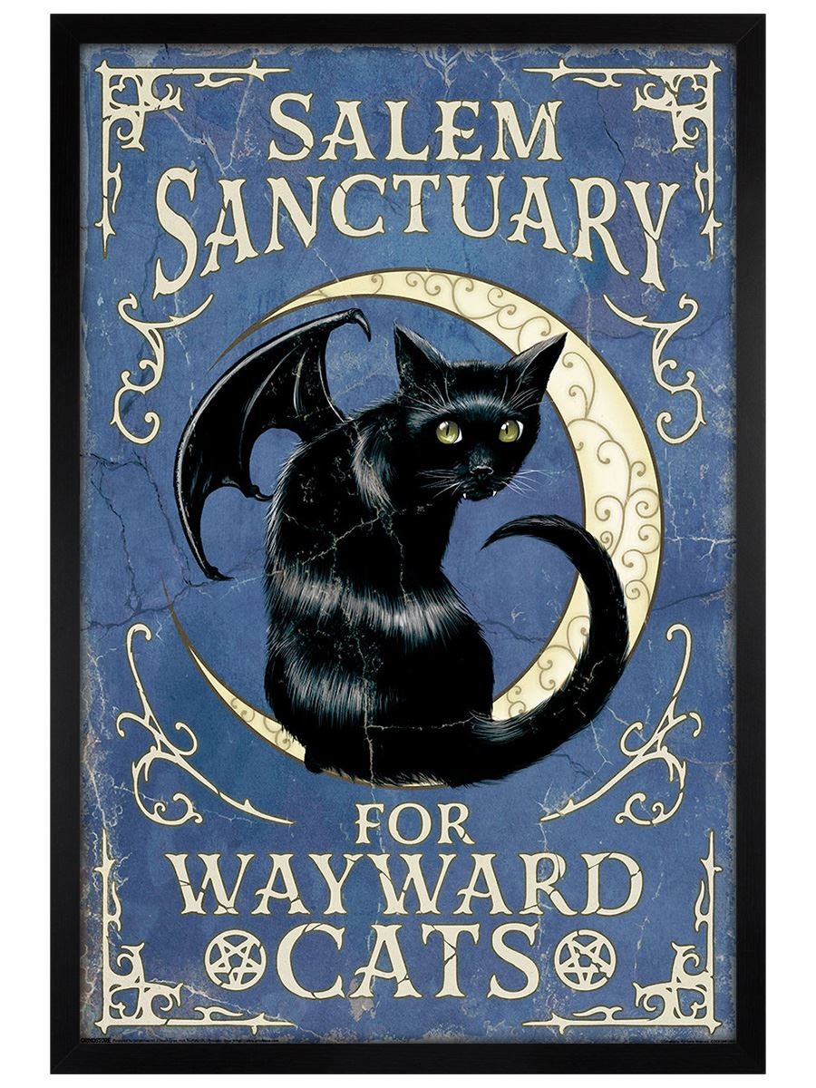 Salem Sanctuary For Wayward Cats Maxi Poster - Black Wooden Framed
