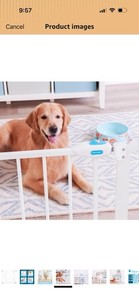 Carlson Extra Wide Walk-Through Metal Gate with Pet Door, Model 0930 PW, Black