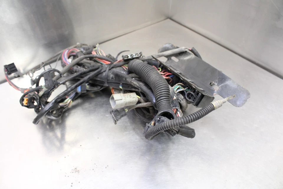 00-06 HARLEY FAT BOY FLSTF EFI MAIN ENGINE WIRING HARNESS MOTOR WIRE LOOM Foto 4 de 4