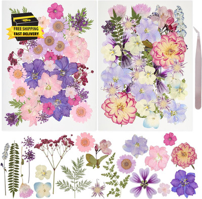50Pcs Dried Pressed Flowers Resin Mould Real Pressed Flowers Natural Dry Leaves