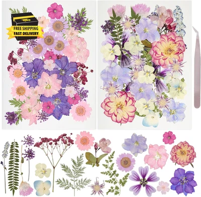 50 Stück getrocknete gepresste Blumen Harzform echte gepresste Blumen natürliche trockene Blätter - Bild 1 von 4