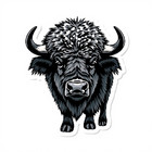 the_sox
